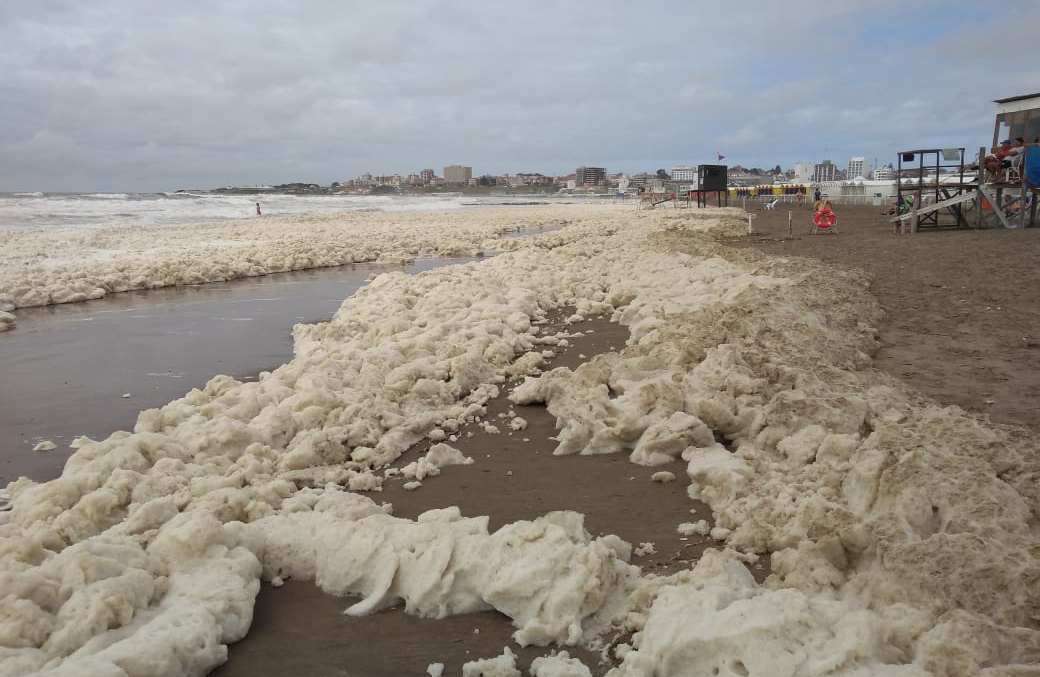 Por qué hay días con más algas o espuma en el agua del mar